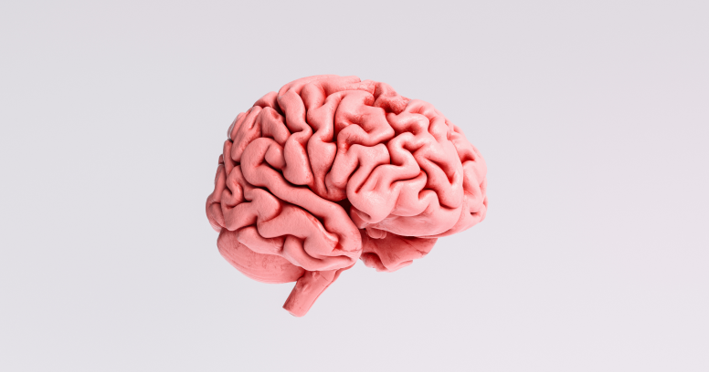 The MIND diet — everything you need to know by Simple