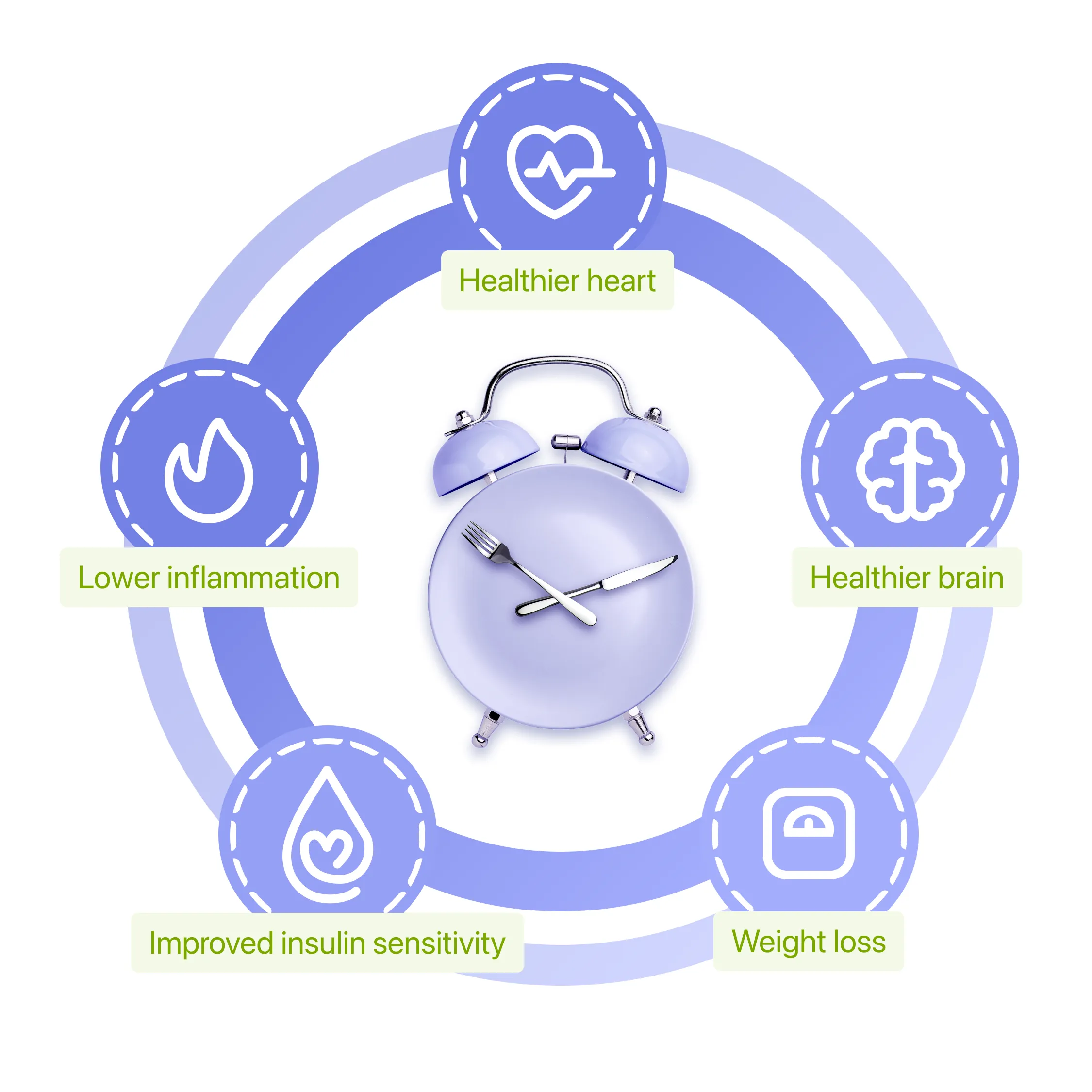 Health benefits and risks comparison chart for intermittent fasting