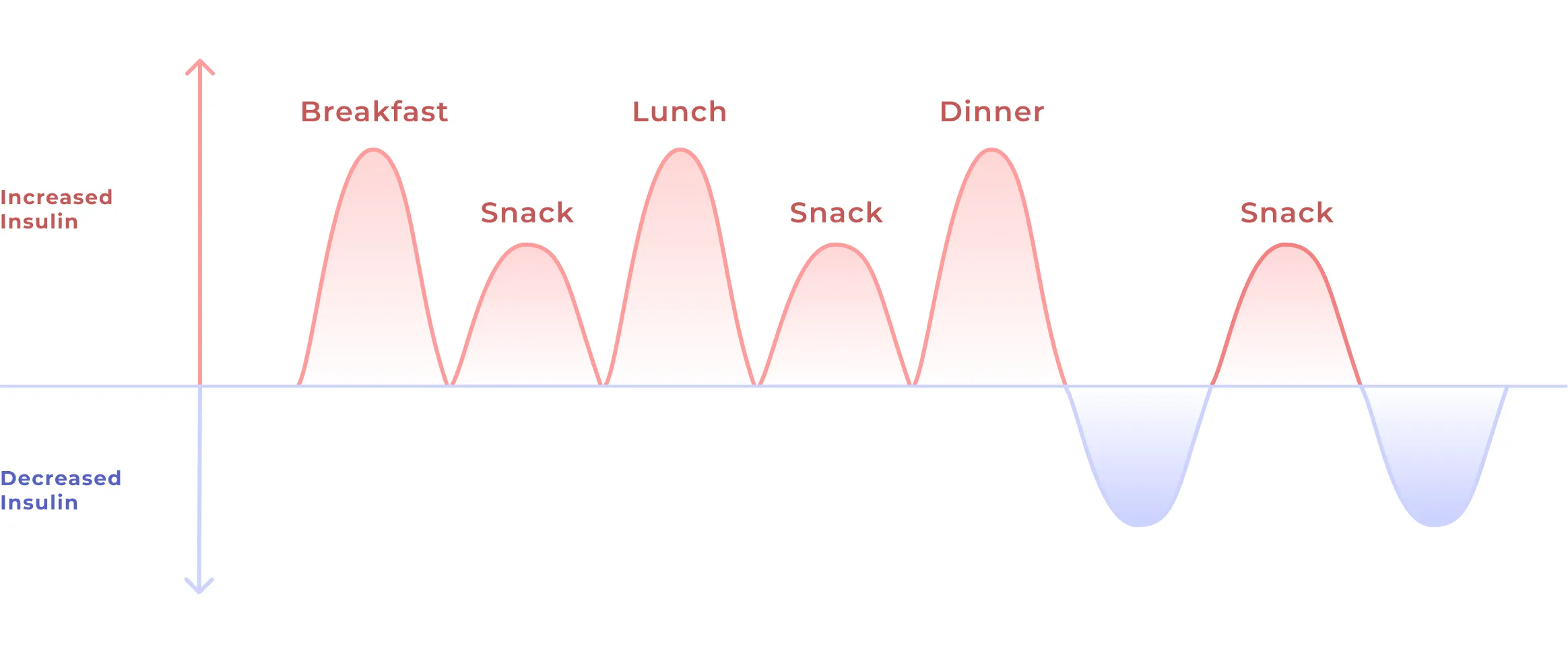 How blood sugar works and affects the body during intermittent fasting
